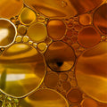 B-Vitamin Complex