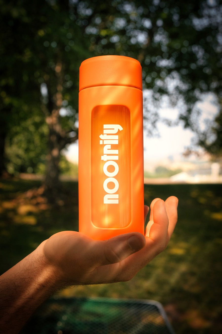 Nootrify bottle held up in afternoon sunlight